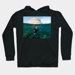 Two Worlds Meet Hoodie